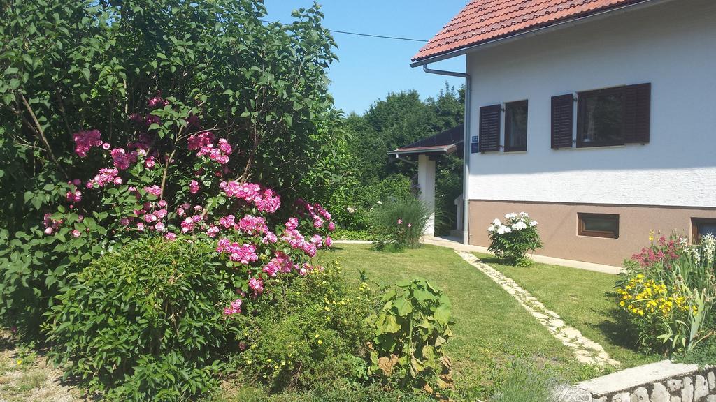 House Tudic Apartment Dreznik Grad Room photo